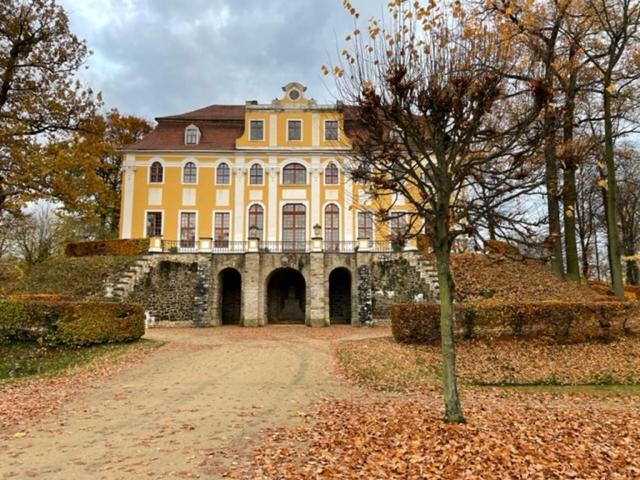 Pension Grandel Kottmar Exteriér fotografie